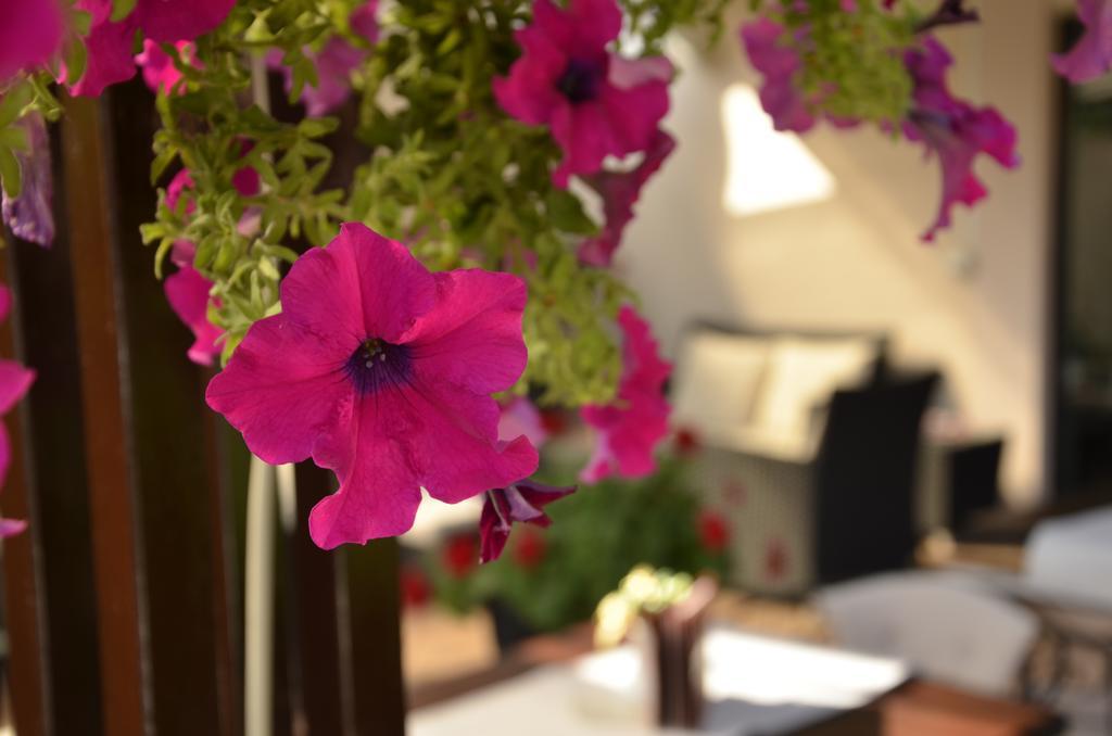 Hotel Topcider Belgrado Buitenkant foto